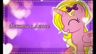Факты о Алисе
