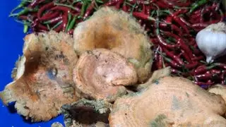 ŞANSIM YOK İŞTE😞😡‼️mantar