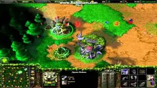 Warcraft 3 FFA 1 часть.12 на 1 карте!
