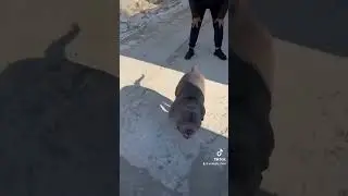 Забрали 🥰 месяц не виделись 🥺