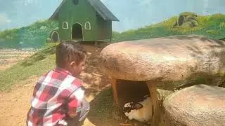 Taman Kelinci, Domba, Kuda Poni dan Kuda Pacuan!