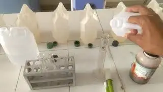 How to test pH Using Universal Indicator for pH in Hindi