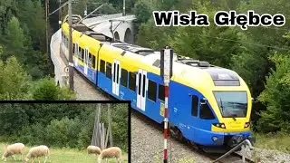 🌉 Pociągi Na Wiadukcie - Wisła Głębce