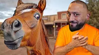 PFERDE LIEBHABER RP