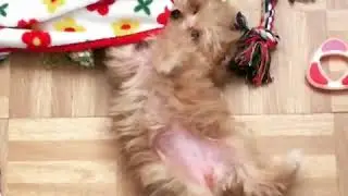Coco from Instagram / 20171221