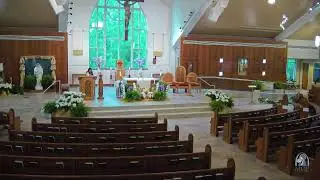 Daily Mass