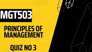 MGT503 Principles of Management Quiz no 3