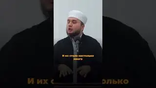 Кого любит Всевышний Аллах?