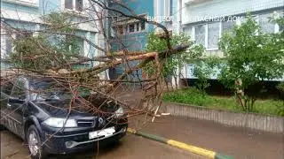 Деревья обрушились на машины видеоподборка