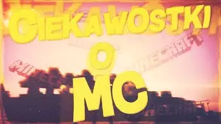 CIEKAWOSTKI O MINECRAFT !