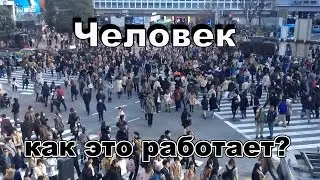 Человек - как это работает. Видео №1
