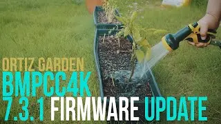 BMPCC4K | 7.3.1 Firmware | Canon FD Glass | Family Time In The Garden