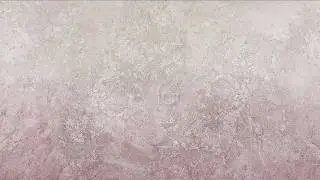 Franle - Cells