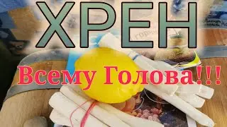 ХРЕН Всему Голова!!!