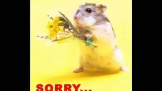 sorry