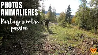 Sortie avec d'autres photographes animaliers