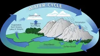 Earth's Water Cycle