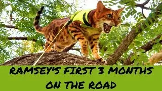 Ramsey's First 3 Months On The Road