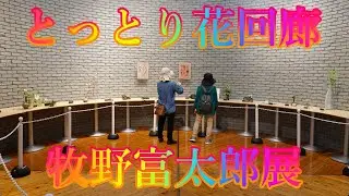 秋の香り散策 10月13日 日曜 晴れ オータムフェスティバル とっとり花回廊 牧野富太郎展 日本 鳥取県西伯郡南部町鶴田 ジャングルドーム @WalkingYoshi