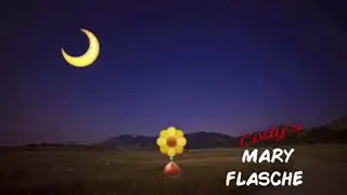 Rainbow Barney Funding (1996)