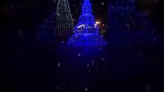 через 7 дней новый год ждём