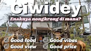 4 TEMPAT NONGKRONG CANTIK DI CIWIDEY DENGAN VIEW KILLER YANG AMAN DI DOMPET | BAGUS GAK MESTI MAHAL
