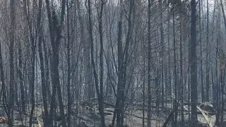 Wildfires In Northern Ontario,Near My Town.