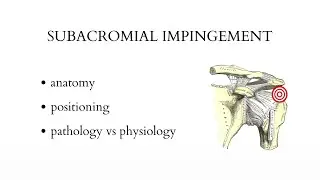 SUBACROMIAL IMPINGEMENT - musculoskeletal ultrasound examination