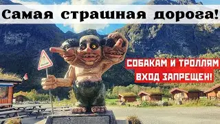 Дорога троллей и стена троллей! Олесунн, Норвегия