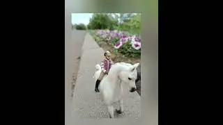 мой фото сет