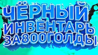 Чёрный инвентарь за 800 голды