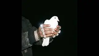 [FREE] Metro Boomin x Future Type beat 2026 - 