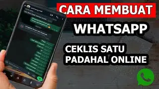 Cara Membuat WhatsApp Centang 1 Padahal Online Terbaru 2024