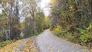 Höstlöven faller