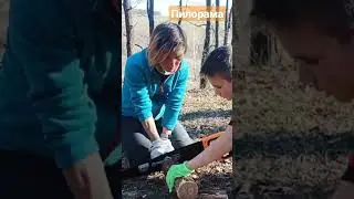 ПВДШКА 16 АПРЕЛЯ