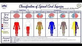 SCI classification