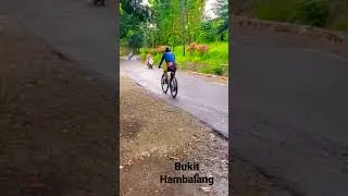 view indah sepanjang perjalanan ke BUKIT HAMBALANG 