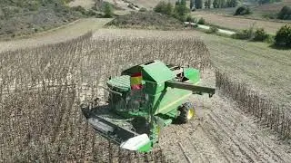 John deere 9560i cosechando girasol 🌻 moresil 5.50