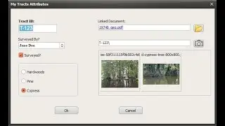 Simple GIS Software Tutorials - Creating a Custom Data Form in Simple GIS Client