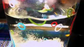 Drug SlowMO | M&Q