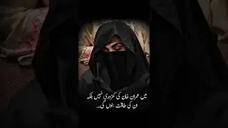 imran khan | Bushra BB | adyala jail | qaidi 804 | pti | #imrankahn