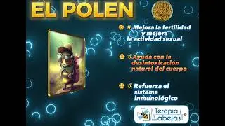 EL POLEN, UNO DE LOS SUPERALIMENTOS
