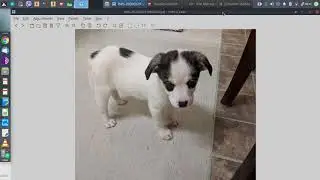 YouTube censorship and videos taken down -  checkout my new family member ;-)