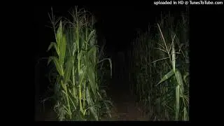 free destroy lonely + izaya tiji type beat