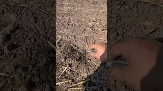 Що ж ми там понасівали? 🤔