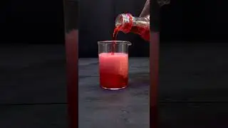 Amazing Science Experiments for SCIENCE DAY 2024 👨‍🔬 🧪 #shorts