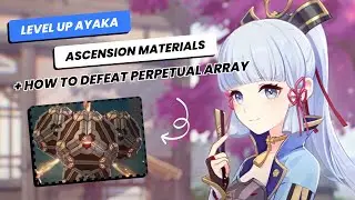 How to Farm Ascension Materials for Ayaka 🌸 How to defeat the Perpetual Array 🏹 Genshin Impact 2.0