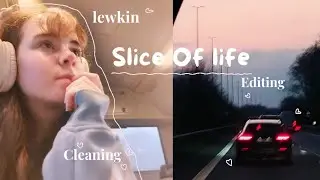 Introvert diaries 🌷🎀 cleaning, editing & Lewking clothing haul