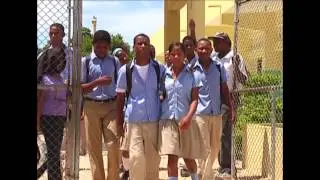 Guayacanes