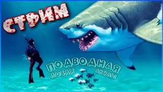 🔴 СТРИМ RUST 🔴 